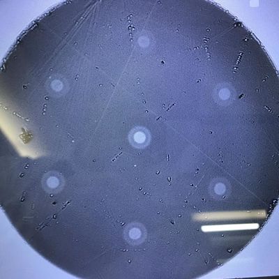 El hexágono de fibra óptica de los productos 6 de la investigación científica de la base multi arregló